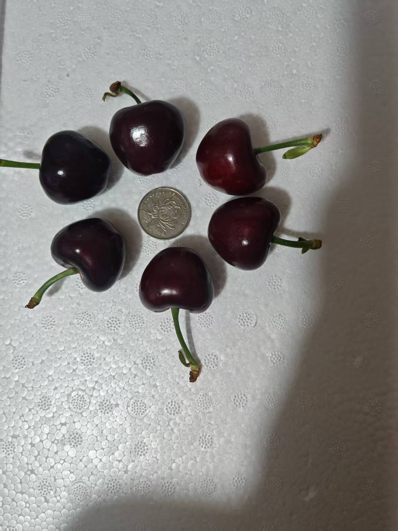 六颗樱桃围绕硬币