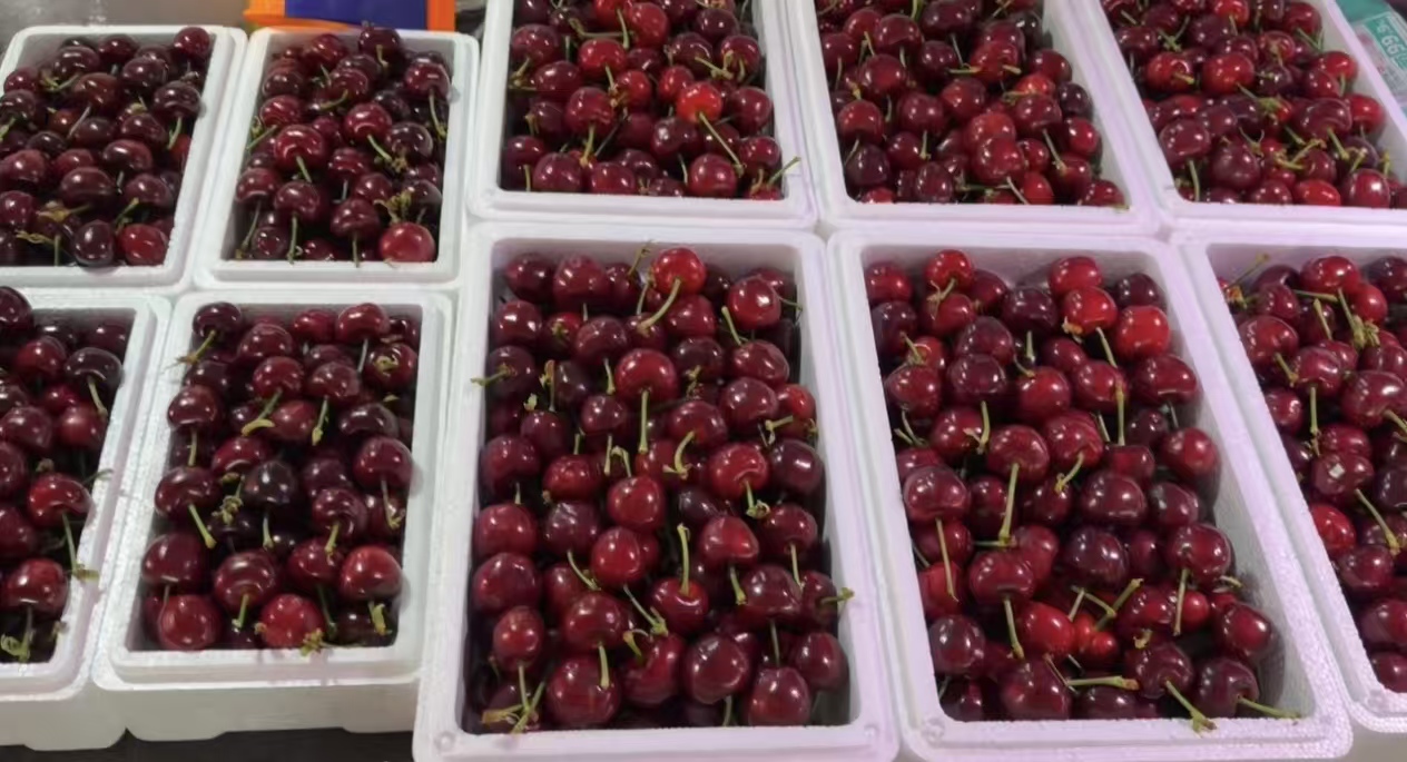 盒装樱桃